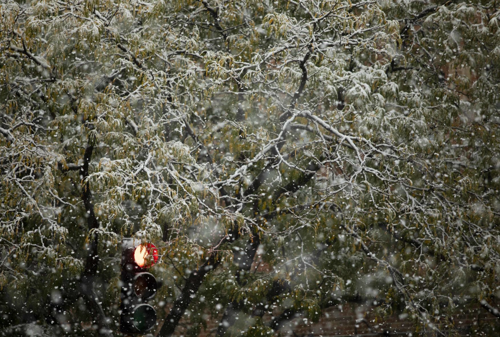 101221-snow-006.JPG